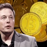 #ElonMusk #Solana #MemeCoin #CryptoNews #SolanaMemeCoin #CryptoHype #MuskEffect #BlockchainBuzz #CryptoSurge #Web3Trends